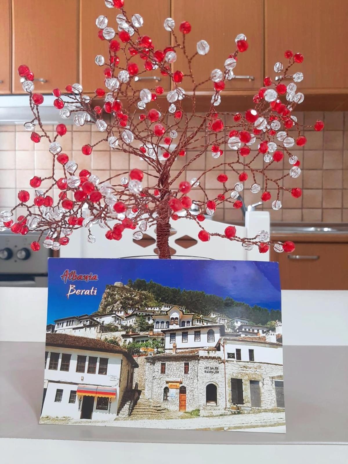 Vangert Apartment Berat Buitenkant foto