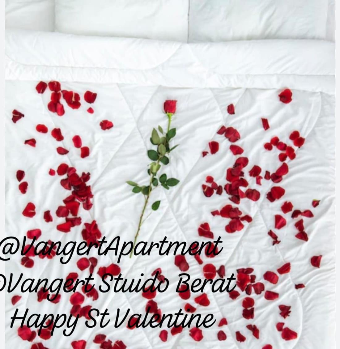 Vangert Apartment Berat Kamer foto
